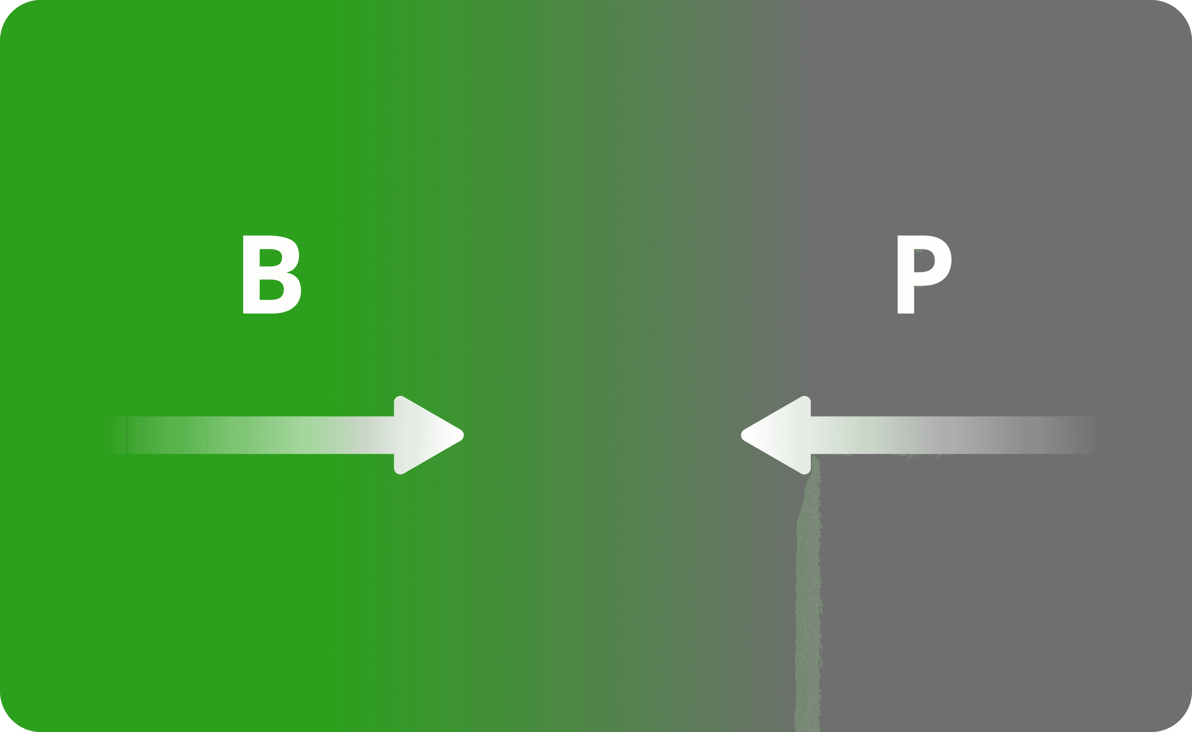 The review mechanism